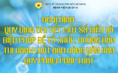 (Sotuphap.hochiminhcity) Nghị định quy định chi tiết một số điều và biện pháp để tổ chức, hướng dẫn thi hành luật ban hành văn bản quy phạm pháp luật